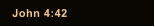John 4:42