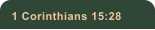 1 Corinthians 15:28